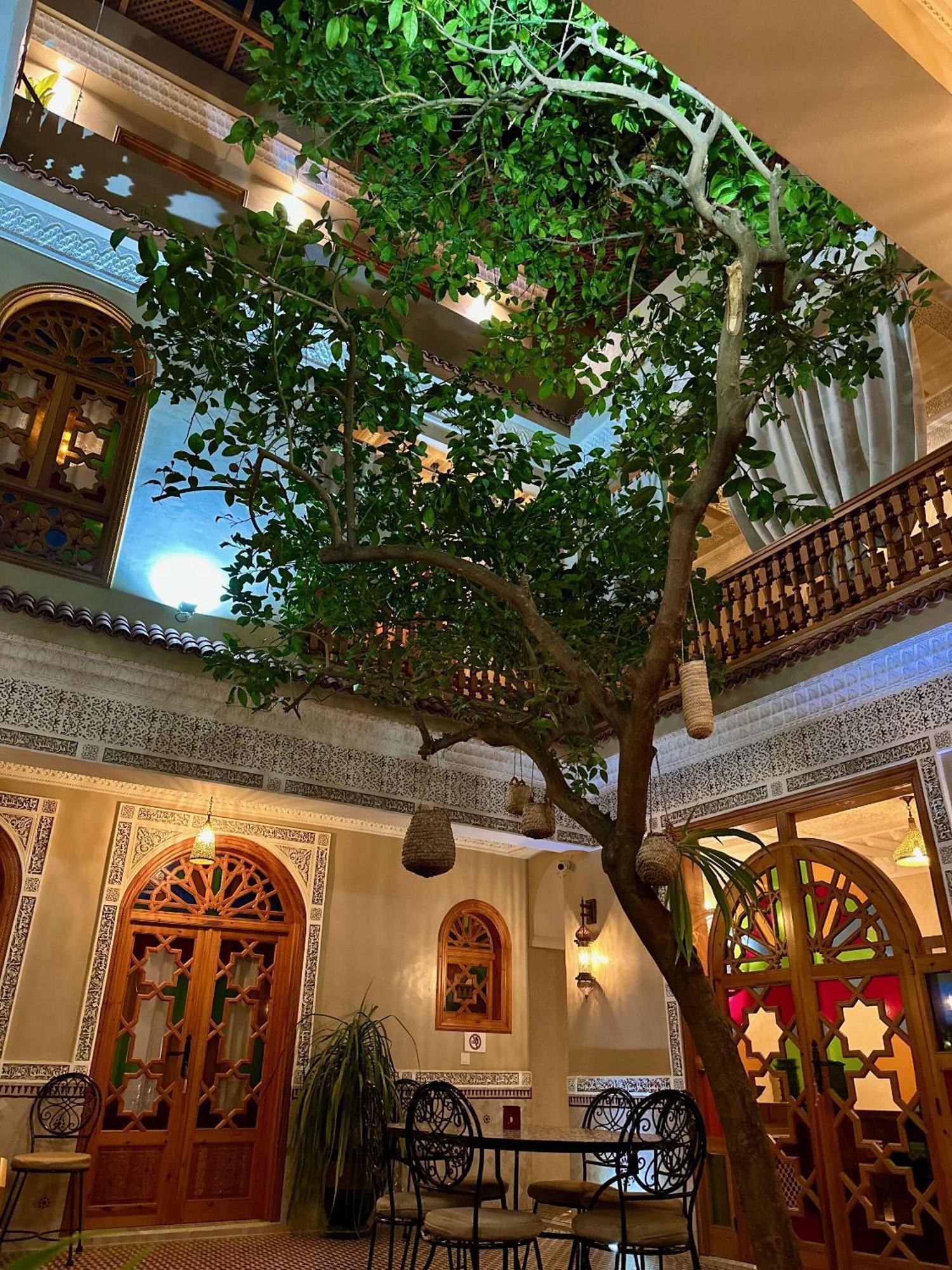 Riad Shajara Marrakesz Zewnętrze zdjęcie